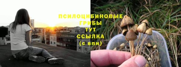 дурь Горно-Алтайск