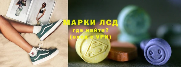 гашик Горняк