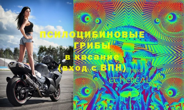 дурь Горно-Алтайск