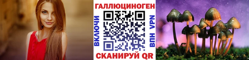 Купить  Котово  Галлюциногенные грибы ЛСД 